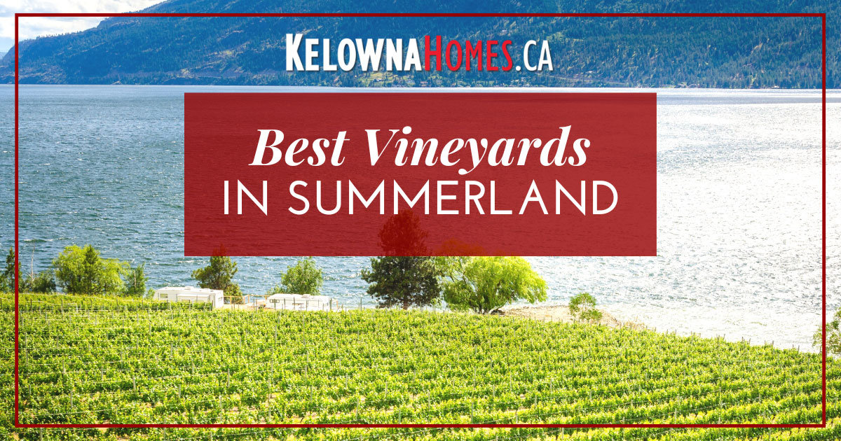 Best Vineyards in Summerland, BC
