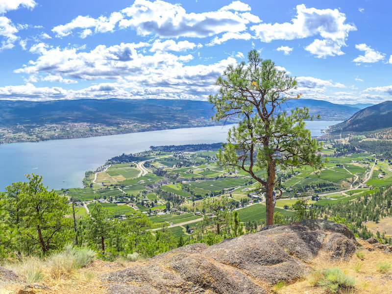 Hike the Giant's Head Trail in Summerland, BC