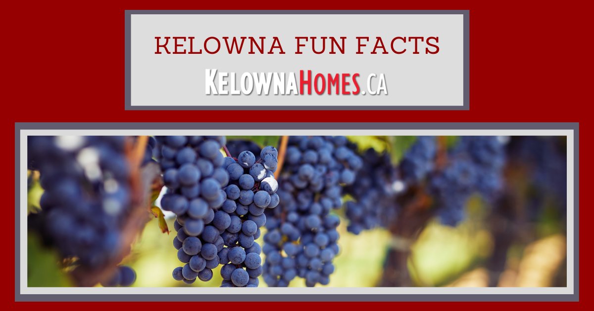 Kelowna Fun Facts