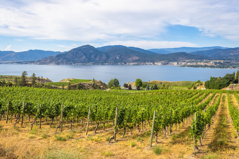 Wineries Are an Example of Class 5 Land