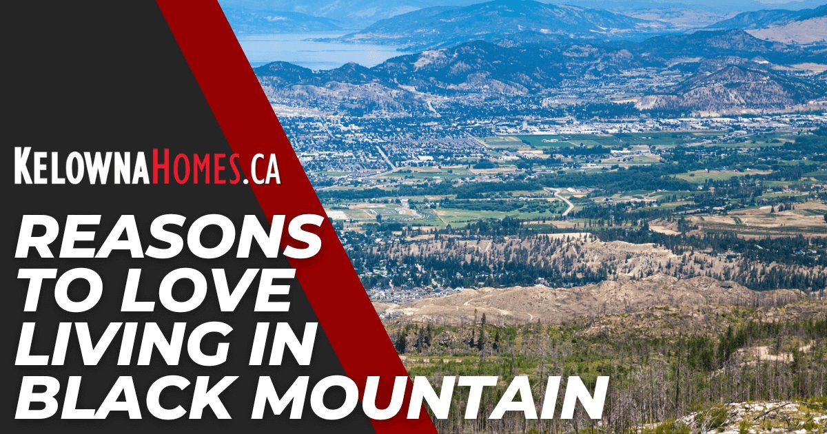 Why Should You Love Living in Black Mountain?