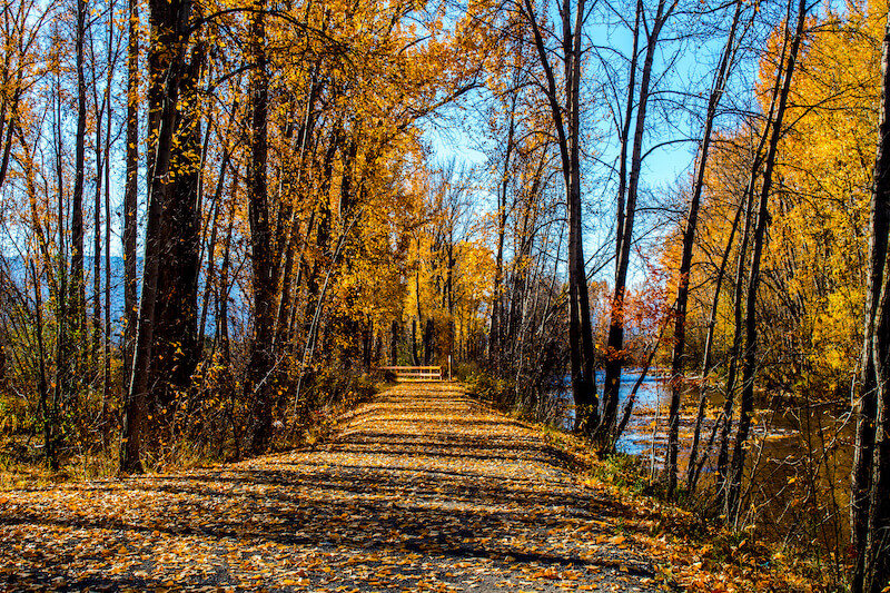 The Mission Creek Greenway is Just Over 16 Kilometres Long