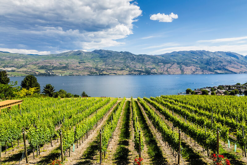 Where are the Best Wineries in Kelowna, BC?