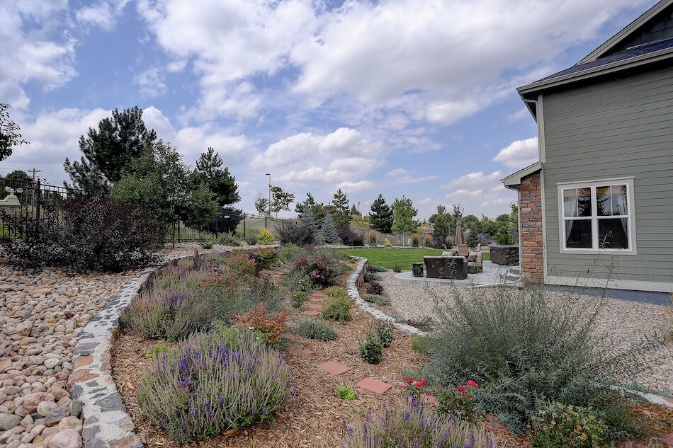 How to Get Started With Xeriscaping
